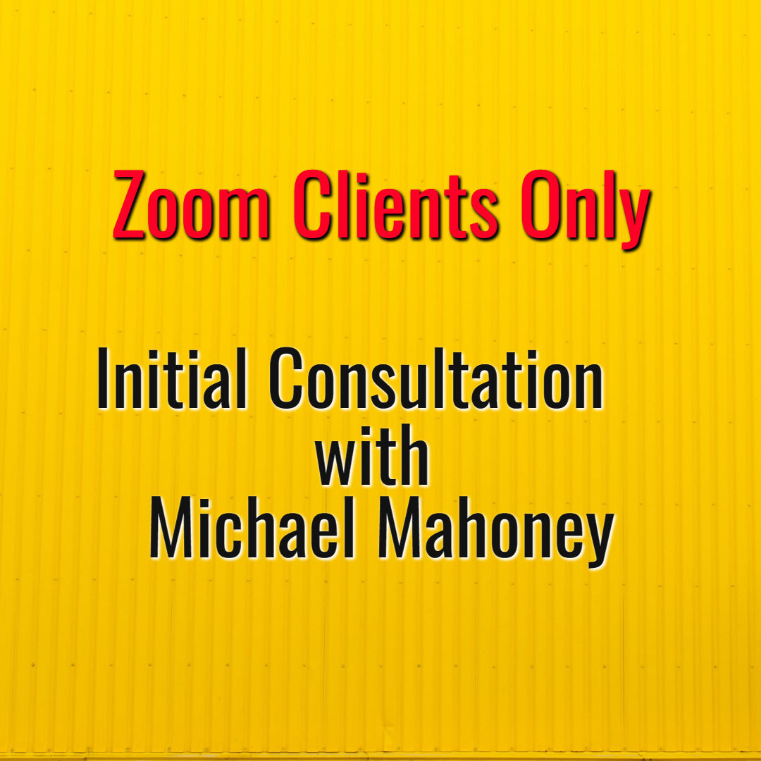 Initial Zoom Consultation with Michael