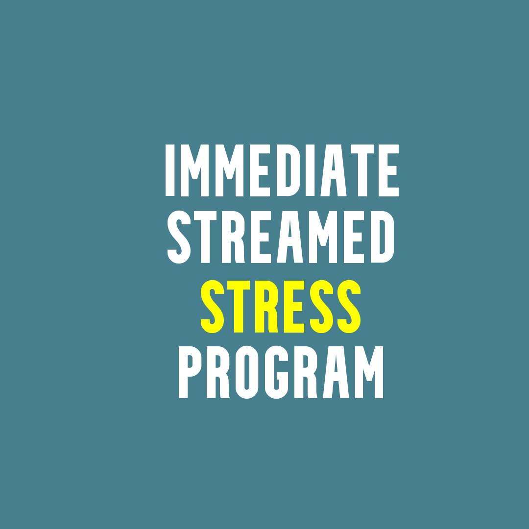 Stress Relief and Relaxation Audio Program 80 - Immediate Streamed 2022