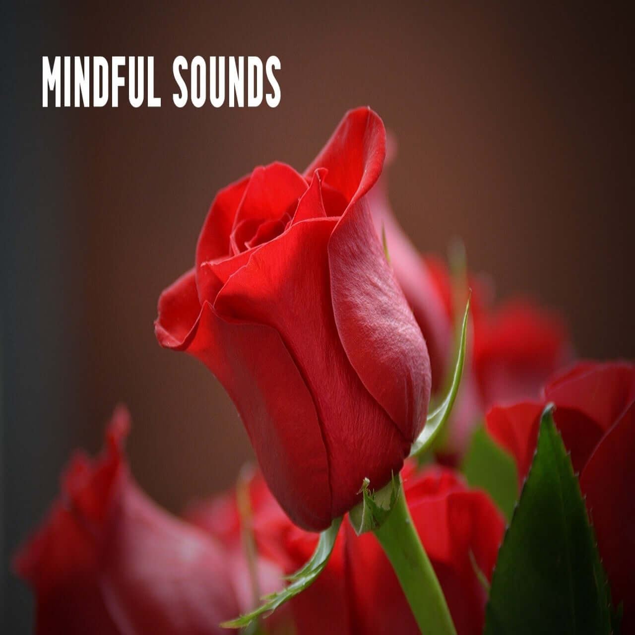 Mindful Sounds - Single Session
